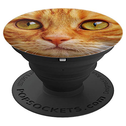 Gatos lindos con cara de regalo gato naranja atigrado gato PopSockets Agarre y Soporte para Teléfonos y Tabletas