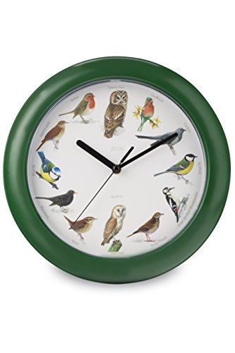 Zeon Tech - Reloj de Pared con Cantos de pájaros (24 x 24 x 1 cm), Color Verde