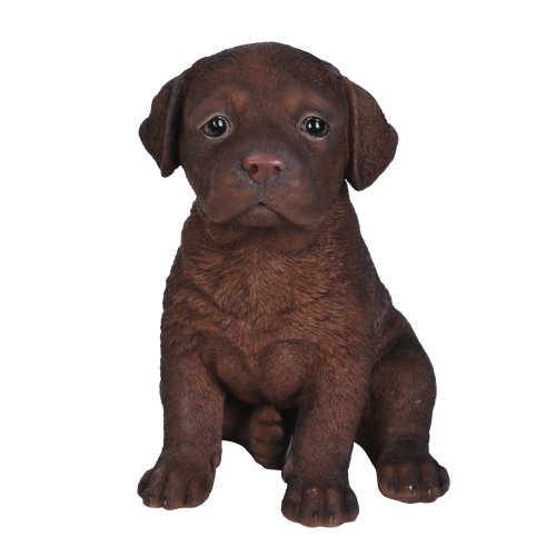 Chocolate Labrador Puppy Pet Pal by Vivid Arts