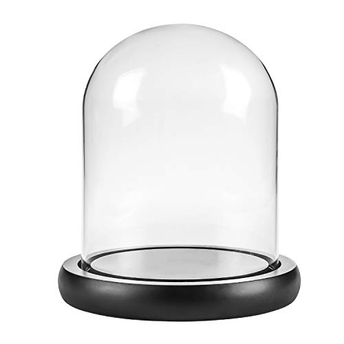 BELLE VOUS Cupula Cristal Jarra Domo Campana - 12x14,5cm Campana Cristal Decorativa Transparente Centro de Mesa con Base Negra de MDF - Urna de Cristal