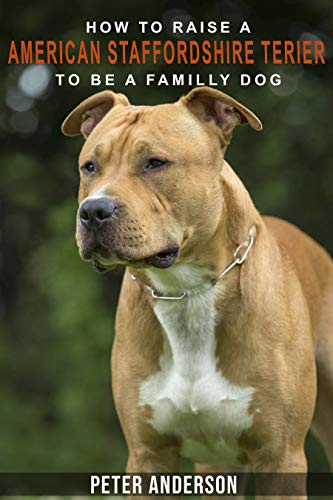 How to rasie a american staffordshire terier to be family dog: American Staffordshire Terrier Socializing, Obedience Training,, Housetraining, Behavioral Training and much More (English Edition)