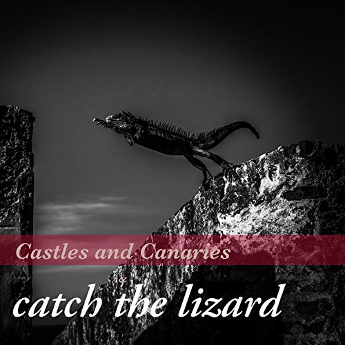 Catch the Lizard