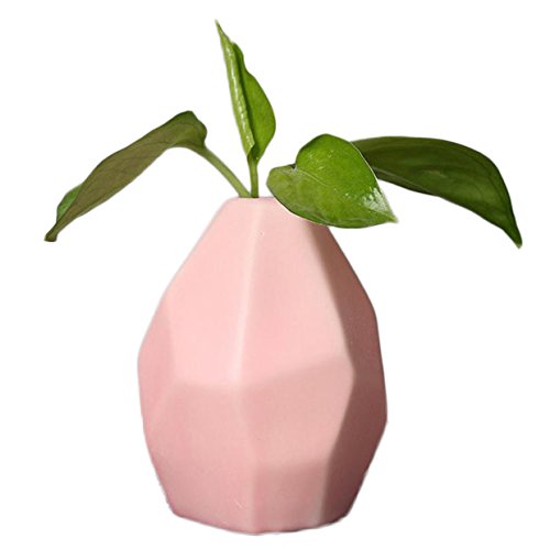 Ruikey Pequeño jarrón de cerámica Artesanía Artesanal Geometría Plantas de Flores secas Jarrón para Oficina Decorar Adornos (Rosa)