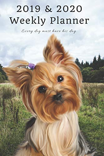 2019 & 2020 Weekly Planner Every dog must have his day.: Funny Silky Yorkshire Terrier in Nature: Two Year Agenda Datebook: Plan Goals to Gain & Work to Maintain Daily & Monthly (6 x 9 in; 105 pages)