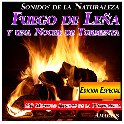 Fuego de Leña y una Noche de Tormenta: Sonidos de la Naturaleza: Edición Especial