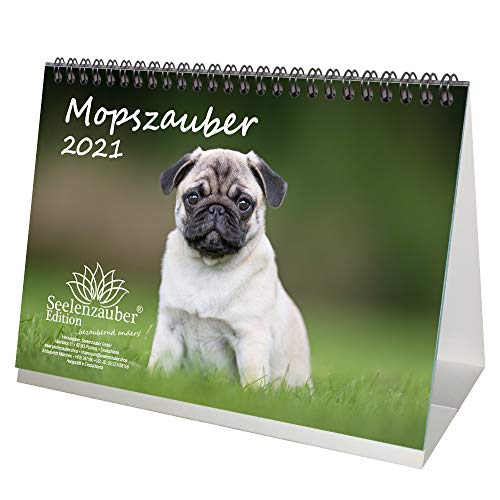 Mopszauber Calendario de mesa DIN A5 para 2021 carlino perros y cachorros set de regalo: además 1 tarjeta de felicitación y 1 tarjeta de Navidad – Seelenzauber