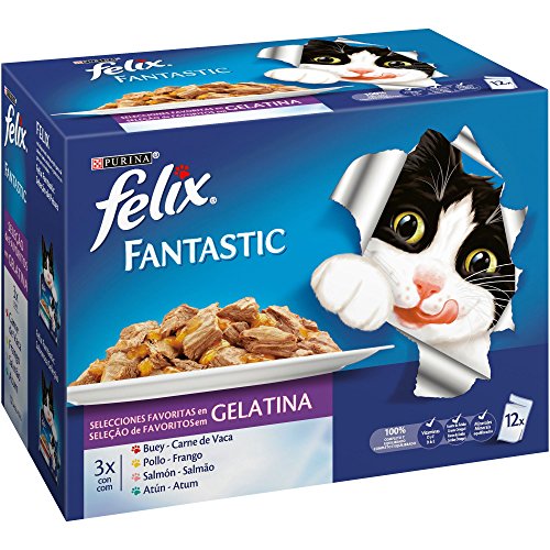Purina Felix Fantastic Gelatina comida para gatos Selecciones Favoritas 6 x [12 x 100 g]