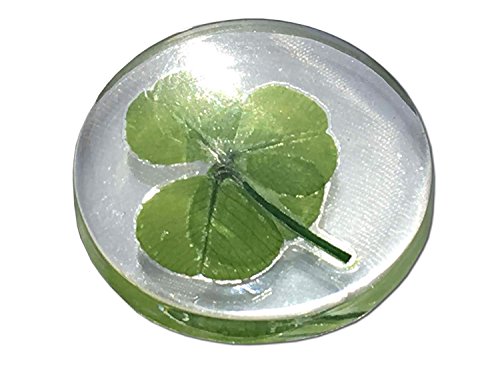 Trébol de cuatro hojas real, símbolo de bolsillo de buena suerte, conservado, 3.2 cm