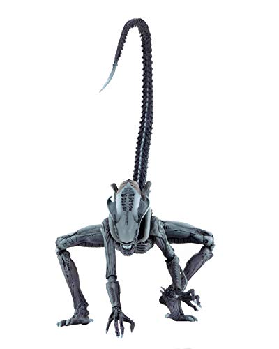 Arachnoid Xenomorph (Alien Vs Predator Arcade) Neca Action Figure
