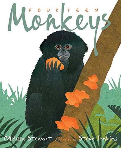 Fourteen Monkeys: A Rain Forest Rhyme (English Edition)