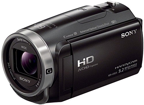 Sony HDRCX625B.CEN - Videocámara (Sensor Exmor R CMOS, Zoom óptico de 30 aumentos, XAVC S, Balanced Optical SteadyShot con 5 Ejes y cámara Lenta) Negro