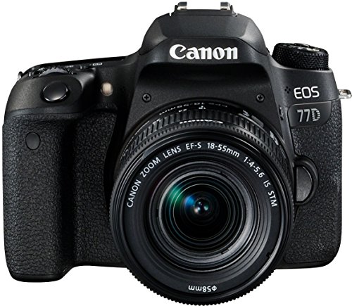 Canon EOS 77D - Cámara réflex de 24.2 MP (vídeo Full HD, WiFi, Bluetooth) negro - kit cuerpo con objetivo EF-S 18-55 IS STM