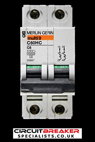 Merlin Gerin 25657 - Disyuntor de circuitos de Doble Polo, 6 A, Tipo C, 10 kA