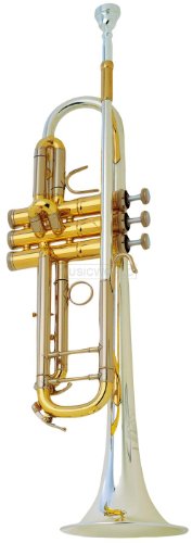 B & S 3137/2 ST L en B trompeta