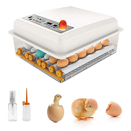 InLoveArts Incubadora de Huevos con volteo y eclosión automáticos, incubadora de Huevos para gallinas, Patos, Gansos, codornices, Uso doméstico, etc. Iluminación LED de Alta eficiencia, 16 Huevos