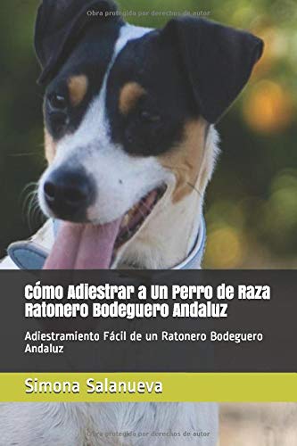 Cómo Adiestrar a Un Perro de Raza Ratonero Bodeguero Andaluz: Adiestramiento Fácil de un Ratonero Bodeguero Andaluz