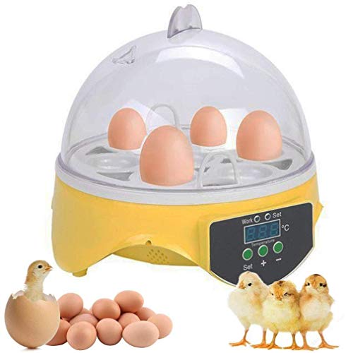 Incubadoras 7 Huevos Completamente Automáticos Incubadora Inteligente Incubadora Criadora de Motores Pollos con Temperatura y Control de Humedad,para Huevos, Huevos de Pato, Huevos de Fuego, etc