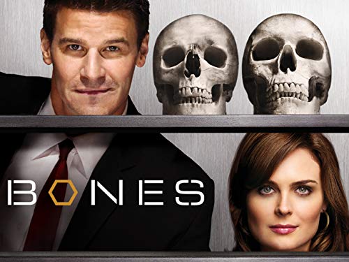Bones - Season 4