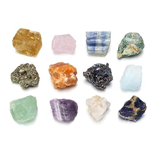 CrystalTears Juego de 12 piedras naturales de gemas preciosas, kit minerales, Geología colección para niños, colores surtidos