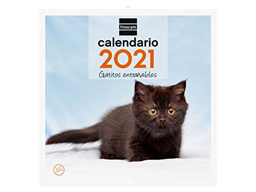 Finocam - Calendario de pared 2021 Escribir Imágenes 300x600 mm - 30x30 Gatitos Español