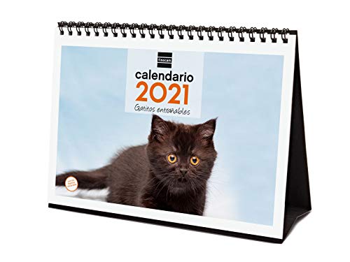 Finocam - Calendario de sobremesa 2021 Escribir Imágenes Gatitos Español