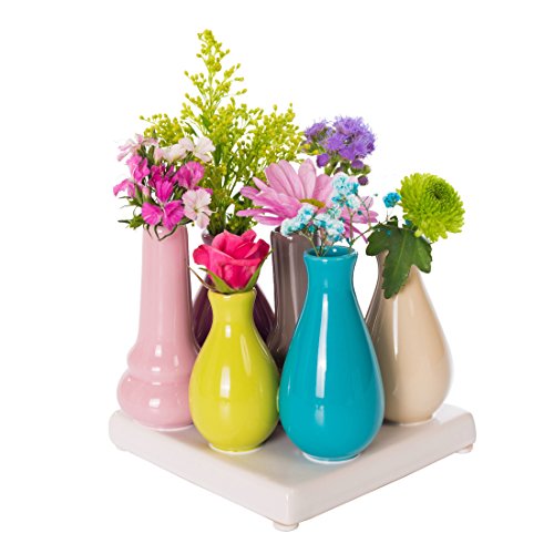 Home&Decorations XHP-12-M-1S Juego de floreros en cerámica Blanca – 12 cm x 12 cm - macetas Decorativas – (1 Set de 7 floreros Multicolor)