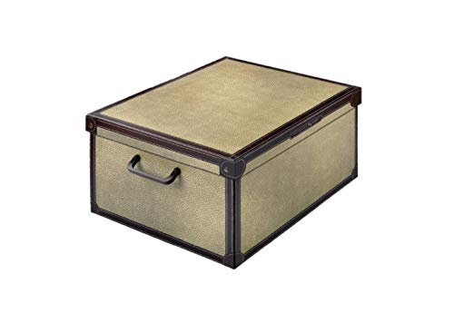 Kanguru Caja de Almacenamiento en cartòn Lavatelli, Modelo TAPIRUS, Media 32x42x21cm