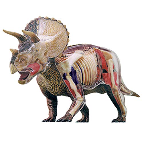 Modelo de anatomía de Dinosaurio - Modelo de simulación de Triceratops - Anatómico Animal Desmontable - Modelo de enseñanza médica - Juguete de ensamblaje de Rompecabezas 3D para niños
