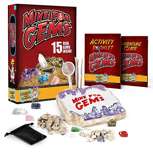 Discover with Dr. Cool Mine for Gems Dig Kit – Excavate 15 Real Gemstones and Crystals Including Amethyst, Tiger's Eye & Quartz, Great Stem Science Kit for Boys and Girls