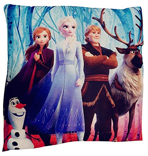 Disney Frozen 2 - Cojín con Diferentes Personajes (40 x 40 cm, Certificado Öko Tex Standard 100)