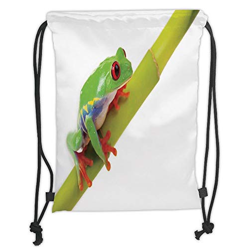 Fevthmii Drawstring Backpacks Bags,Animal Decor,Cute Little Tree Frog Sitting on The Branch Native Animals in American Wilds Photo,Green White Red Soft Satin,5 Liter Capacity,Adjustable Str