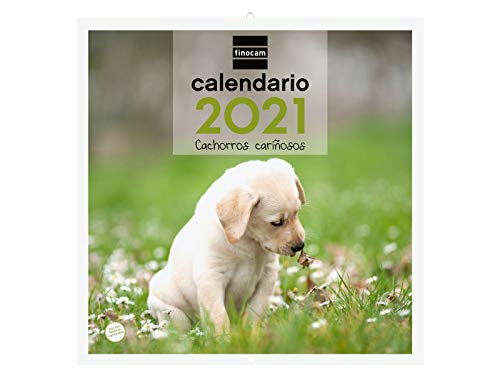 Finocam - Calendario de pared 2021 Escribir Imágenes 300x600 mm - 30x30 Cachorros Español