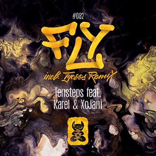 Fly (Tycoos Remix)