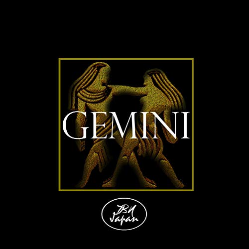 Jet Force Gemini (feat. RememberBuddha) [Explicit]