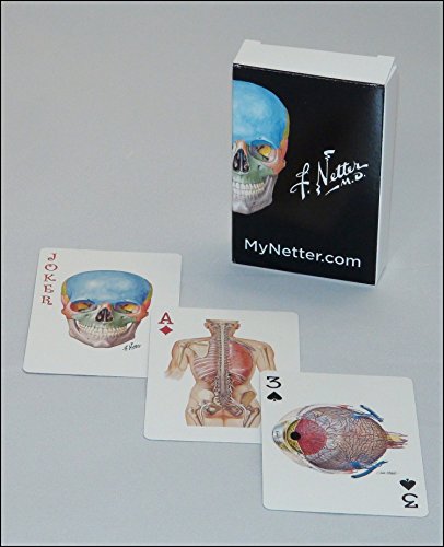 Netter Playing Cards: Netter's Anatomy Art Card Deck (Single Pack), 1e (Netter Basic Science)