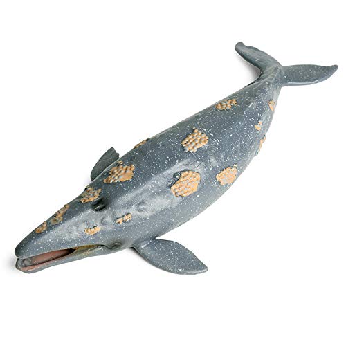 Nrpfell Animales de Vida Marina Modelo de TiburóN Ballena Figuras de AccióN Figuras de PVC SimulacióN Ballenas Jorobadas Modelos Juguetes