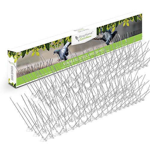 Púas de acero inoxidable para pájaros - Disuasivo duradero para palomas: excelente elemento disuasorio para pájaros, cuervos y pájaros carpinteros - Cubre 10 pies / 3 metros