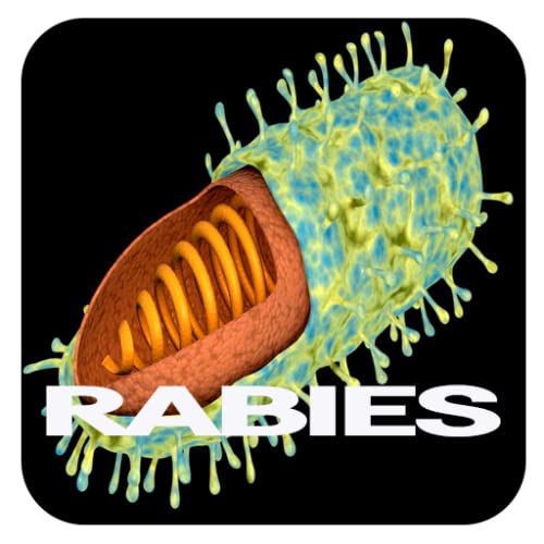 Rabies Disease