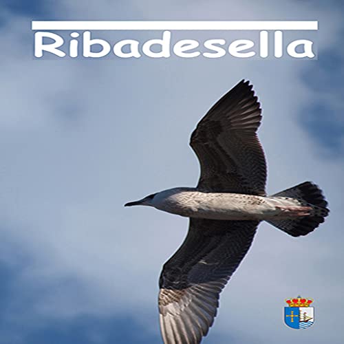 Visita Ribadesella