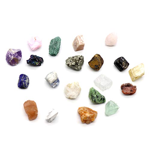 20 Piezas Rocas Naturales Y Colección de Muestras de Minerales Minerales Geología Ciencia Educación Cristales Kit de Actividades de Colección de Piedras Crudas en Bruto