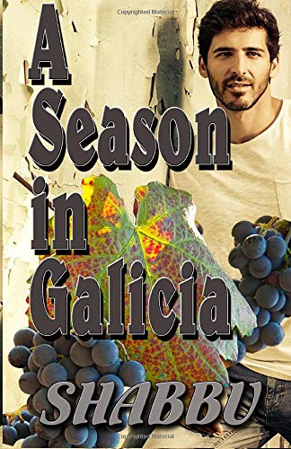 A Season in Galicia: A Story of Gay Love and Romance in Northern Spain