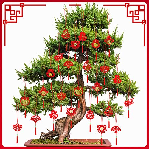 Boao 60 Decoraciones Chinas, Adornos Colgantes Rojos de Año Nuevo Colgante de Nudo de Borla para Festival de Primavera Hogar Coche Árbol Pared Jardín, 10 Estilos