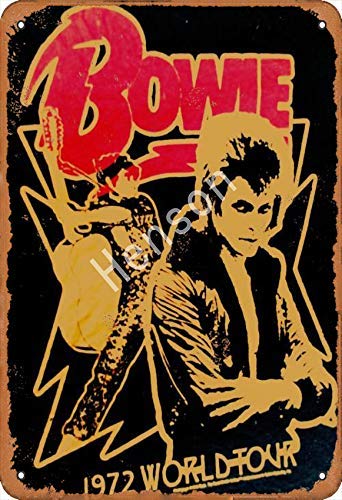 Bowie 1972 World Tour Cartel de chapa de metal pintado decoración de pared moderna sala de juegos reglas de la casa