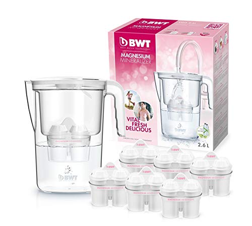 BWT Vida Manual – Jarra filtradora de agua con magnesio + Pack 6 filtros jarra de agua, 2,6 L Blanco