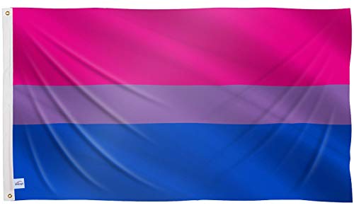 Ericraft Bandera Bisexual Grande 90x150cms Bandera Bisexual balcón para Exterior Reforzada y con 2 Ojales metálicos, Bandera Orgullo, Pride Flag