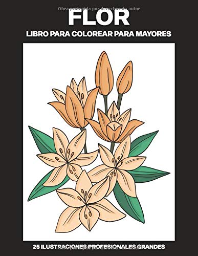 Flor Libro para Colorear para Mayores: Libro para colorear para Mayores fácil de llenars, 25 ilustraciones profesionales para aliviar el estrés y relajarse (Flores Paginas para Colorear)