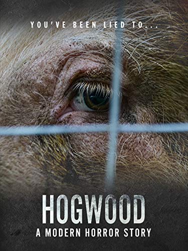 Hogwood: a modern horror story