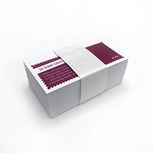 Juego de 100 tarjetas pequeñas en blanco 9 x 5 cm – DIY I tarjetas de visita, etiquetas de regalo, tarjetas de notas I para personalización I dv_412