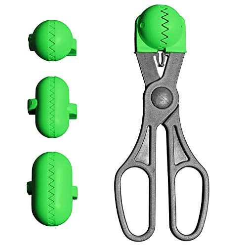 La Croquetera - Color Verde - utensilio Multiuso con 4 moldes Intercambiables para masas- para croquetas, albóndigas, Bolas, Sushi - 100% español : Patentado y Fabricado en España
