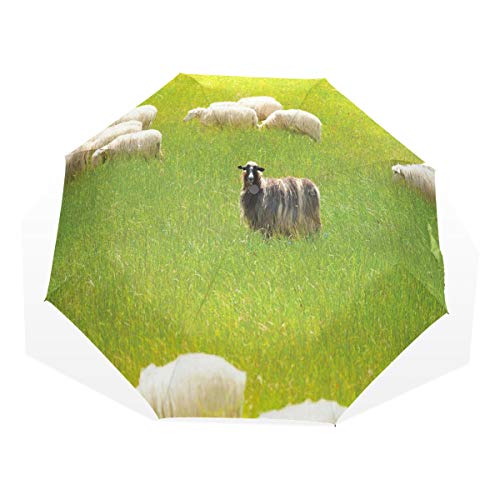 LASINSU Paraguas Resistente a la Intemperie,protección UV,Ovejas Negras Entre Cabras Blancas en Campo de Hierba Prado Paisaje de Granja Animal